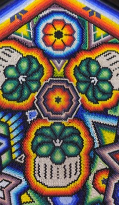 Hikuri o El peyote